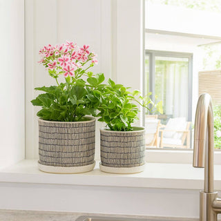 Plant Pot Set of 2 - Ivory Ceramic Line with Saucer, 6/8 in.