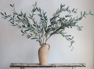 Premium Quality Olive Branch Leaf Fruit Spray-Frosty Green