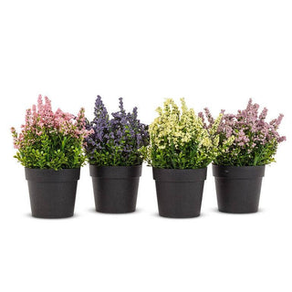 Lavender Plant Pot-4Asst-8"H