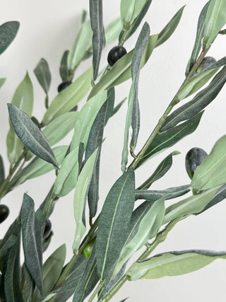 Premium Quality Olive Branch Leaf Fruit Spray-Frosty Green