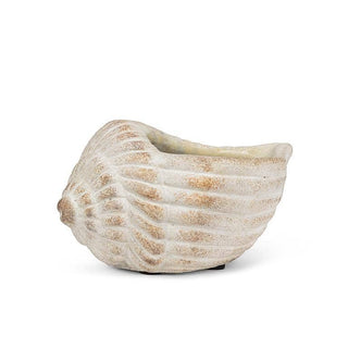 Small Conch Planter-6"L