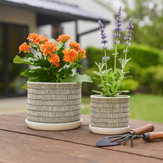 Plant Pot Set of 2 - Ivory Ceramic Line with Saucer, 6/8 in.