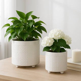 Plant Pot Set of 2 - White Ceramic Textured Footed, 6/8 in.