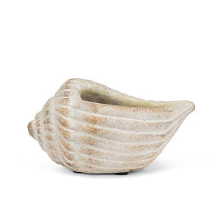 Small Conch Planter-6"L