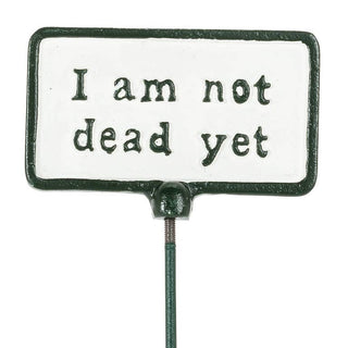 Plant Signs-Antique White-5 Assorted-2x3.5"L
